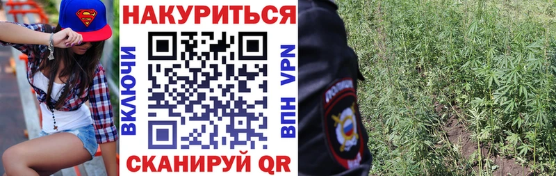 Купить закладки  Тырныауз  Шишки марихуана Ganja 